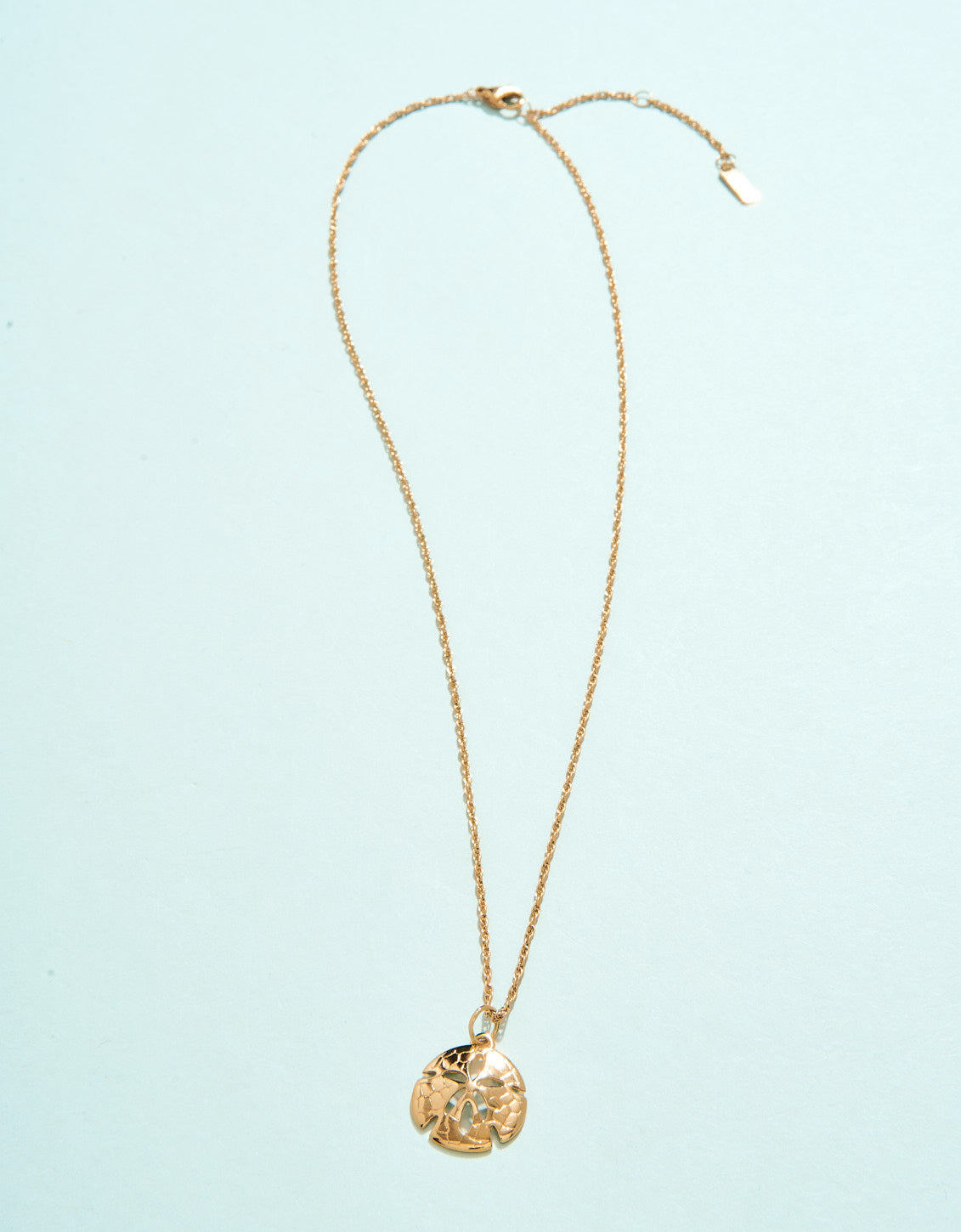 Gold necklace with a pendant on a light blue background