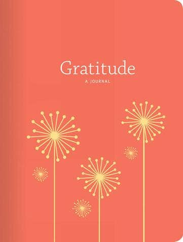 A gratitude journal with a coral pink cover featuring illustrations of dandelion-like flowers.