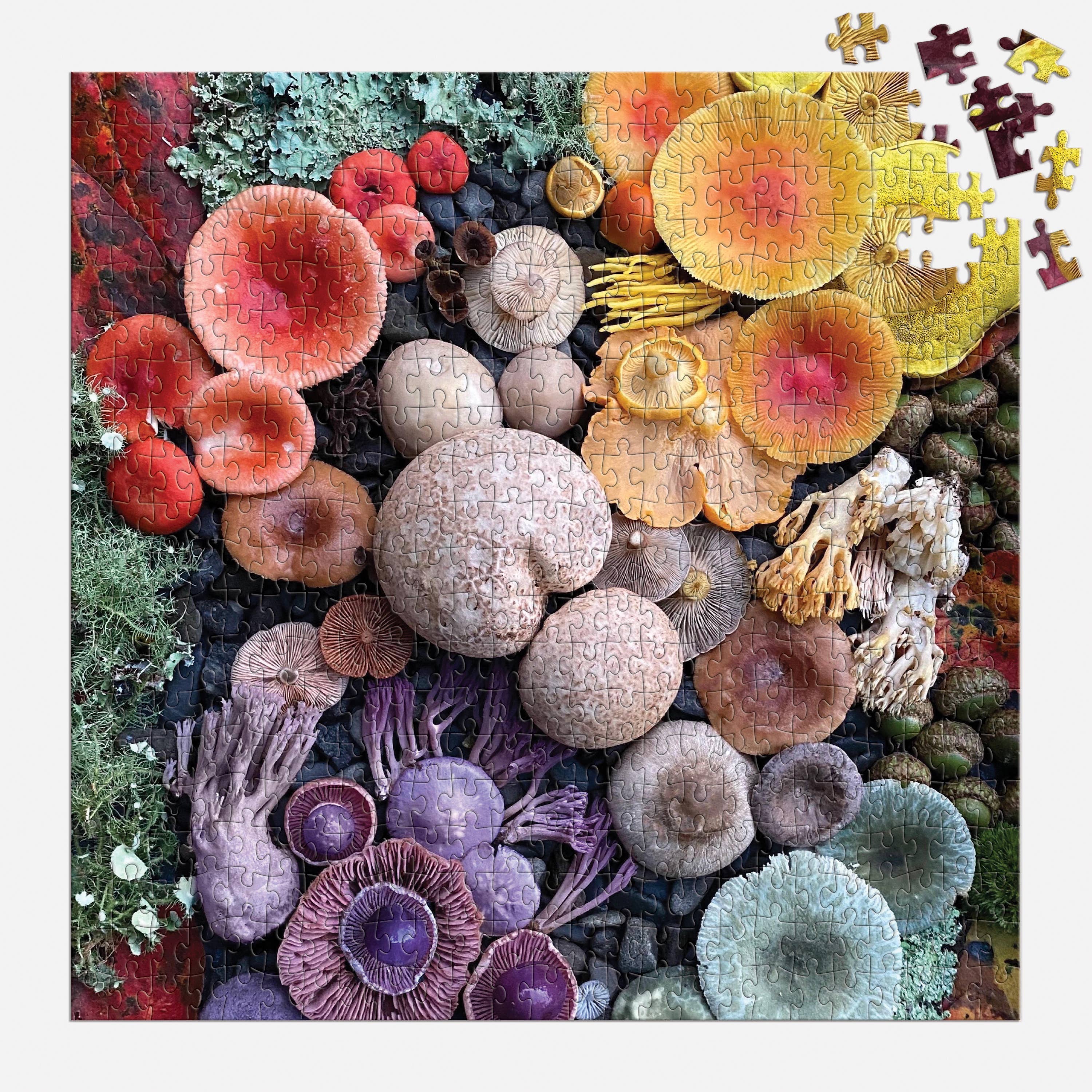 Shrooms and Blooms Puzzle