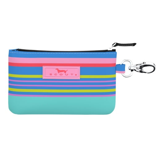 zip case with multicolored stripes