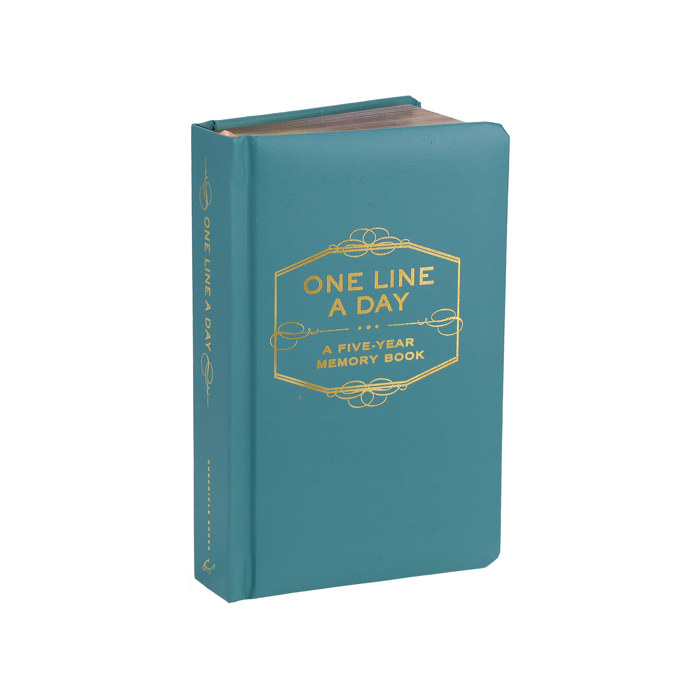 Teal memory book titled 'One Line a Day' on a white background