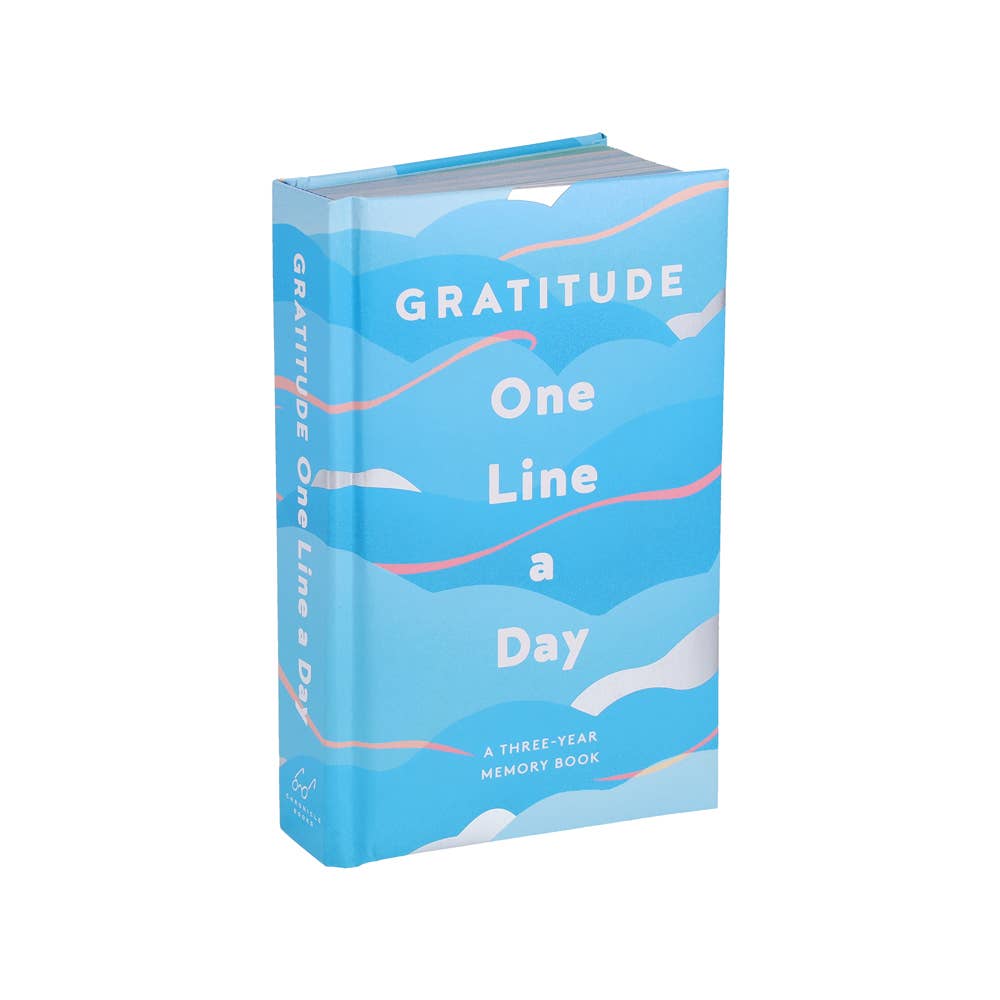Book titled 'Gratitude One Line a Day' on a white background