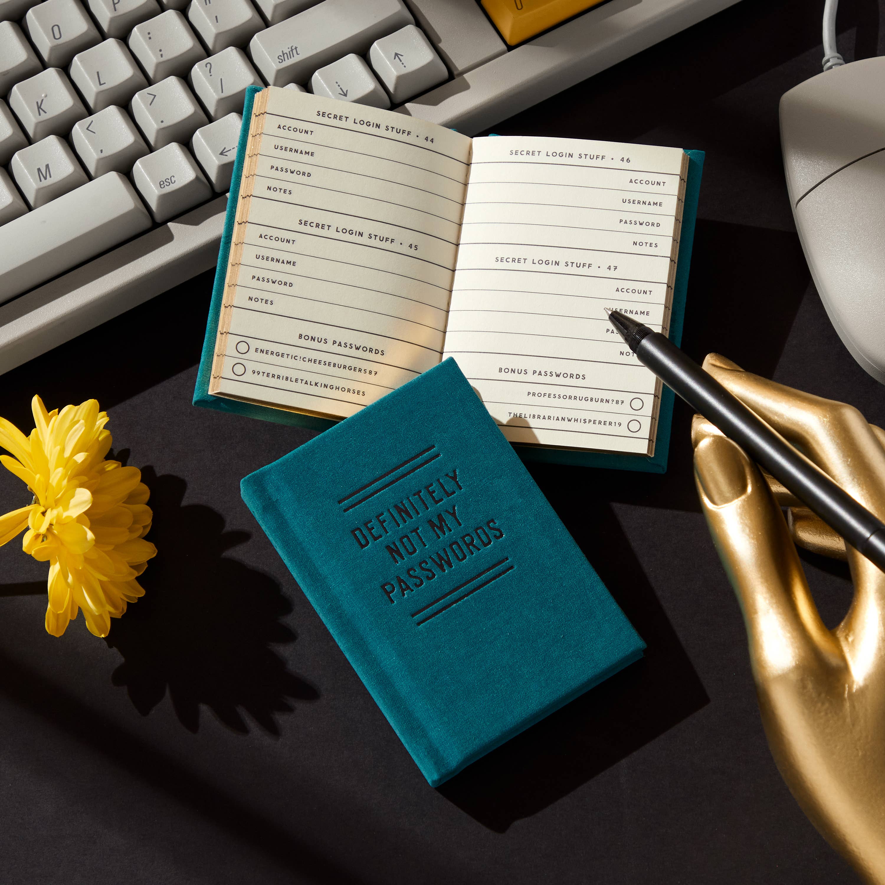 Teal notebook titled 'Definitely Not My Passwords' on a desk with a keyboard and mouse.