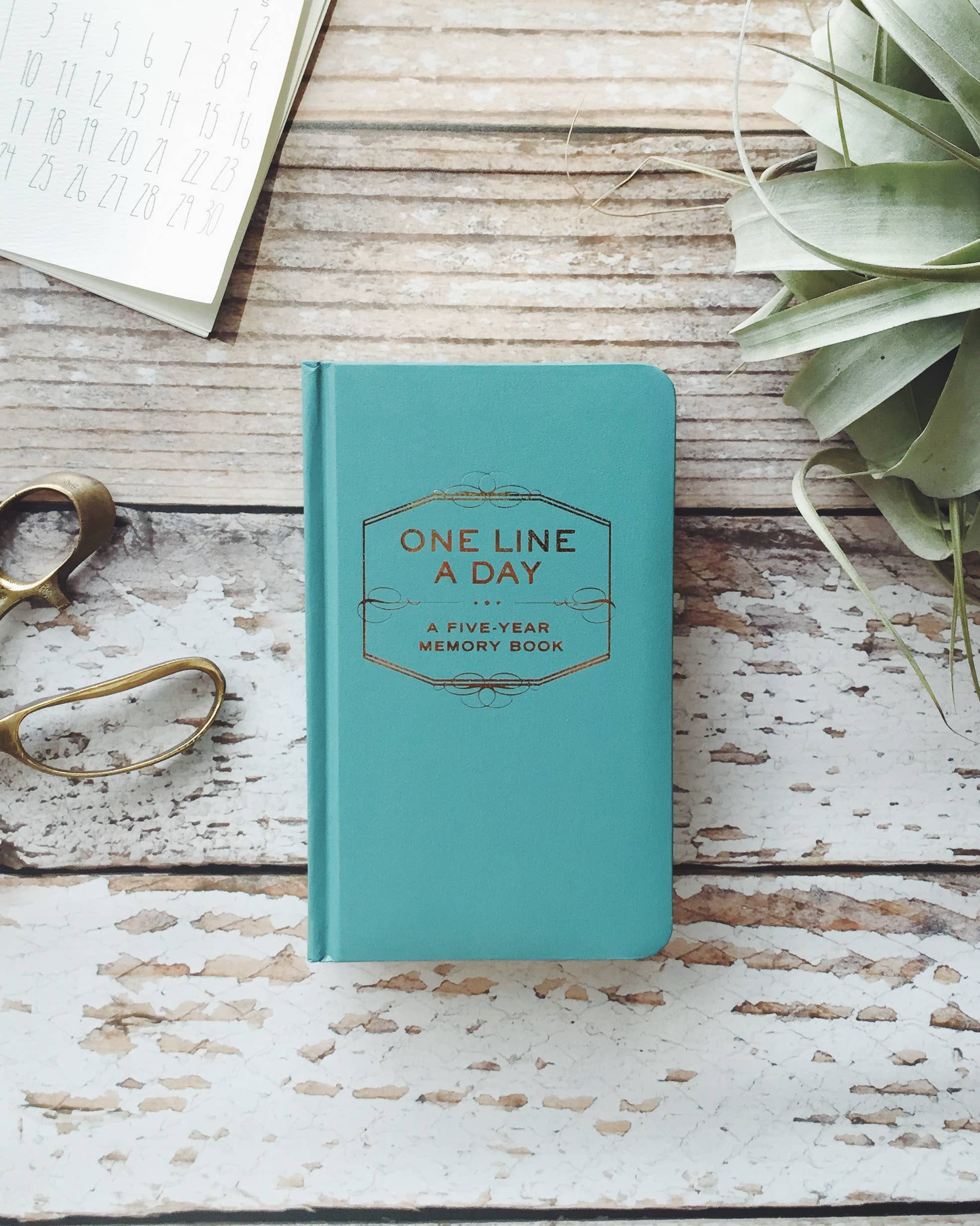Turquoise notebook titled 'One Line a Day' on a wooden surface with a plant and glasses.