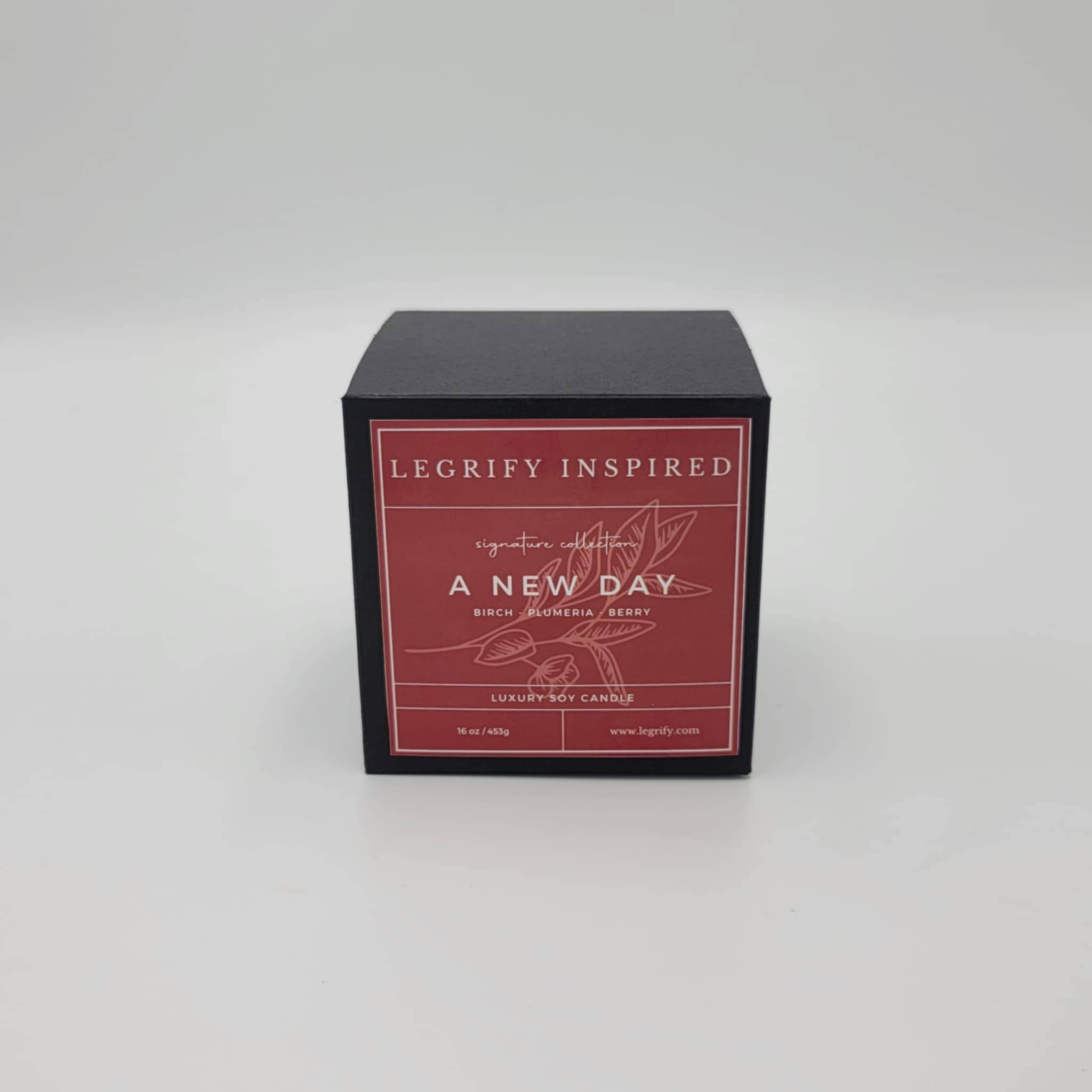 A New Day Classic Glass 2 Wick Soy Candle