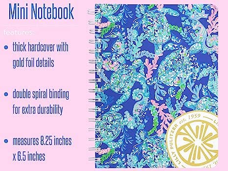 Mini Notebook, Turtle Villa